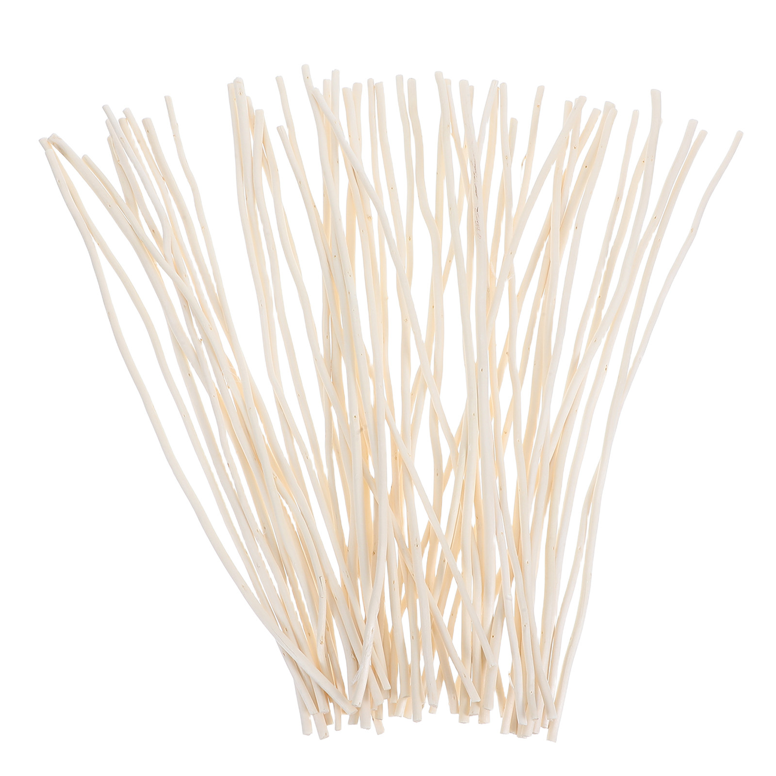 Branch Curly Willow - 50Pcs Dried Dragon Willow Branches Wabi