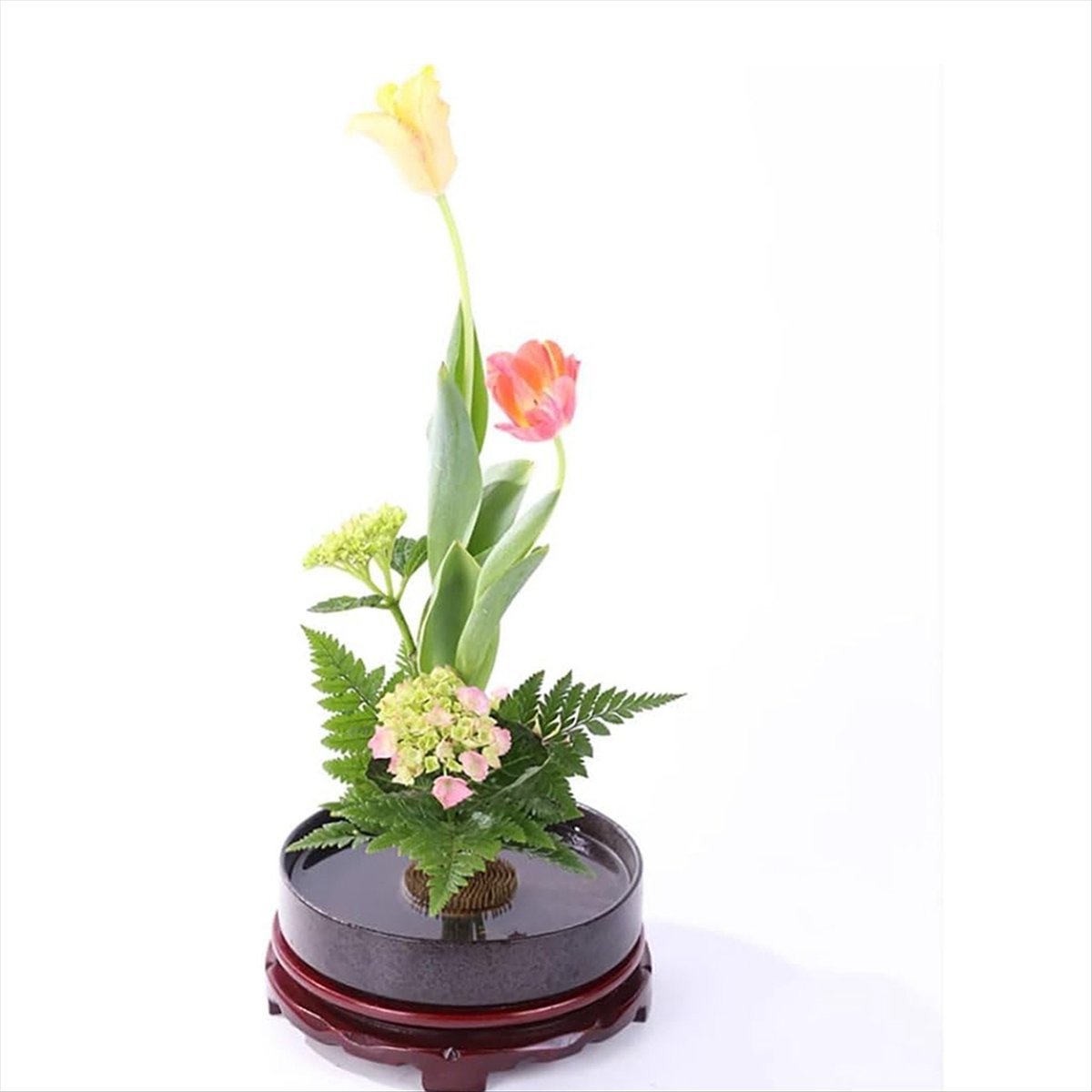 Flower Frog Pin - KSOL 12PCS Flower Frog, Kenzan Pin