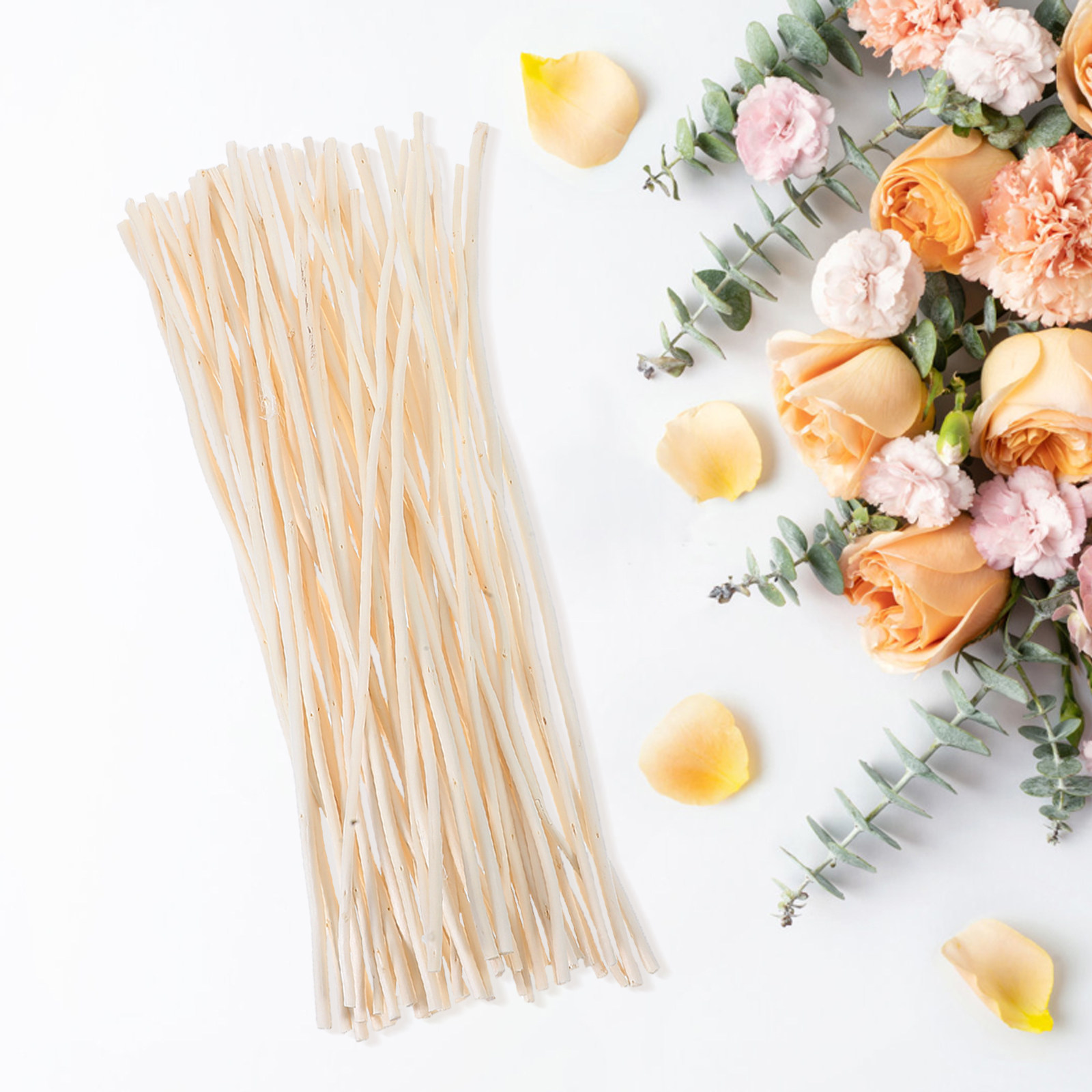 50Pcs Dried Dragon Willow Bran - Branch Curly Willow 리뷰 및 가격