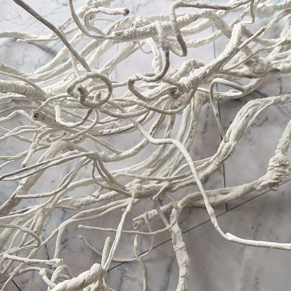 Natural Look Artificial Branch - Branch Curly Willow 리뷰 및 가격