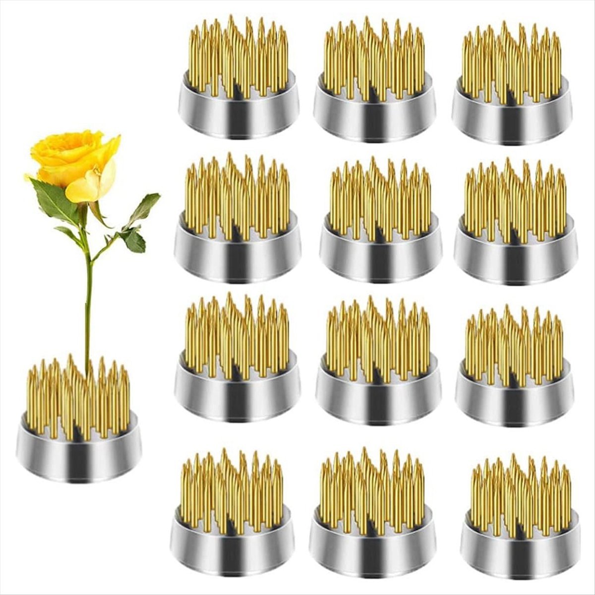 KSOL 12PCS Flower Frog, Kenzan - Flower Frog Pin 리뷰 및 가격