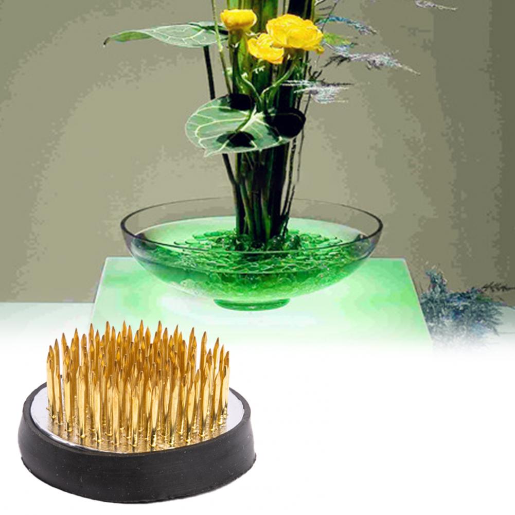 Excellent  Flower Frog Holder  - Flower Frog Pin 리뷰 및 가격