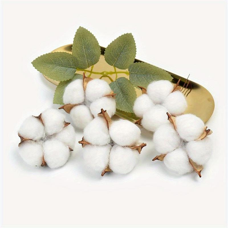 10Pcs White Cotton Florist Sup - Florist Wreath Supply 리뷰 및 가격