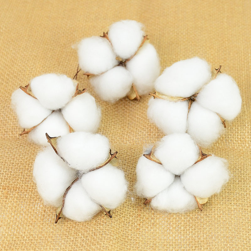 10Pcs White Cotton Florist Sup - Florist Wreath Supply 리뷰 및 가격