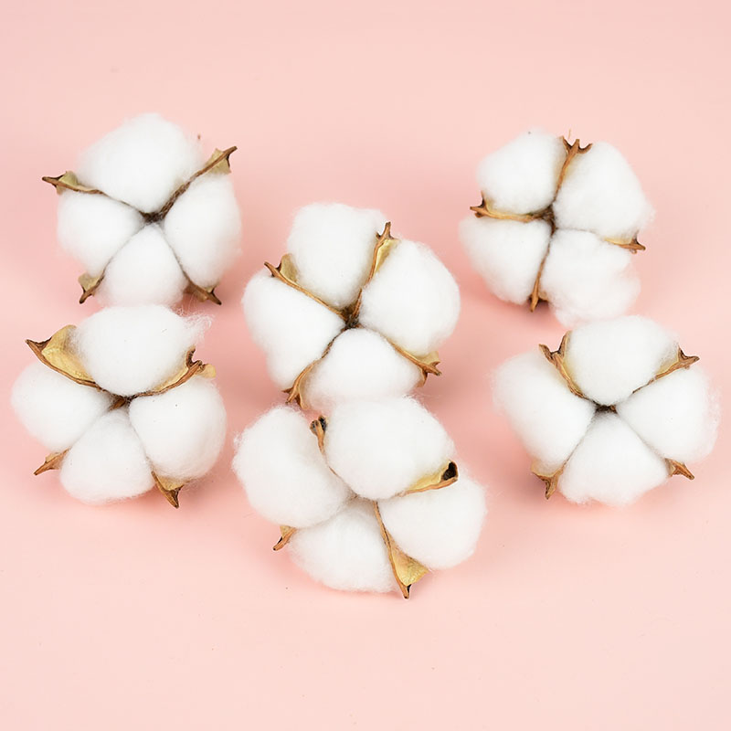10Pcs White Cotton Florist Sup - Florist Wreath Supply 리뷰 및 가격