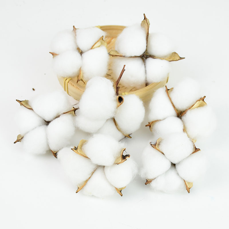 10Pcs White Cotton Florist Sup - Florist Wreath Supply 리뷰 및 가격