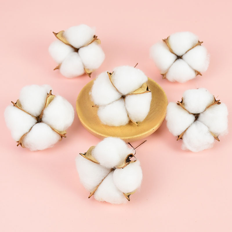 10Pcs White Cotton Florist Sup - Florist Wreath Supply 리뷰 및 가격