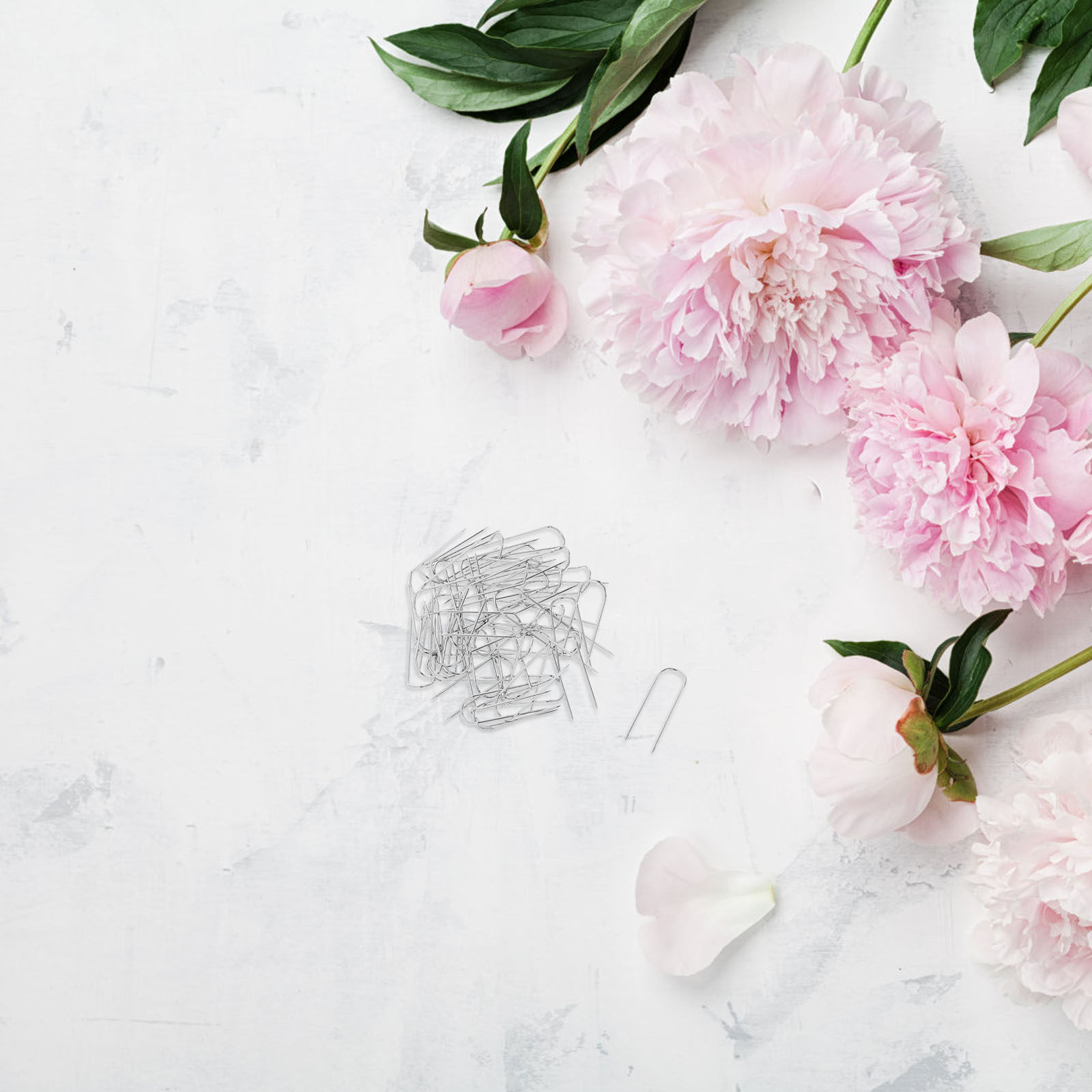 50Pcs U Shaped Pins Stainless  - Flower Frog Pin 리뷰 및 가격